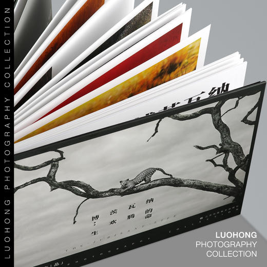 罗红摄影作品-博茨瓦纳：欢腾的生命 商品图1