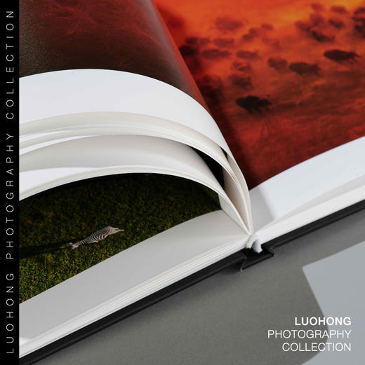 罗红摄影作品-博茨瓦纳：欢腾的生命 商品图2