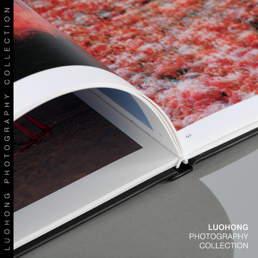 罗红摄影作品-墨西哥火烈鸟：跃动的火焰 商品图2