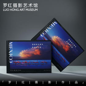 罗红摄影作品-墨西哥火烈鸟：跃动的火焰