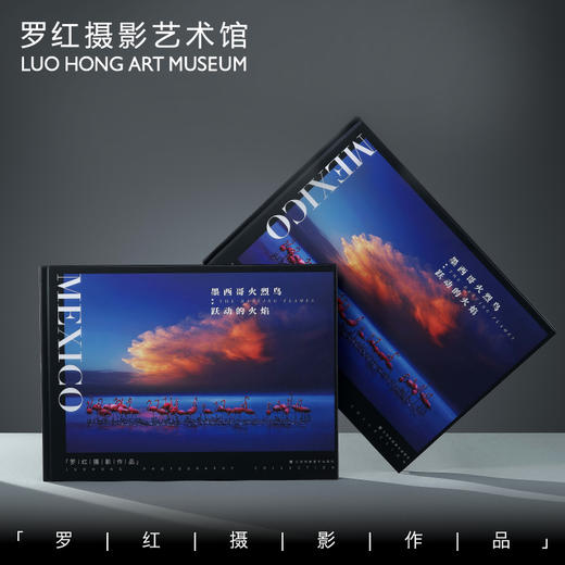 罗红摄影作品-墨西哥火烈鸟：跃动的火焰 商品图0