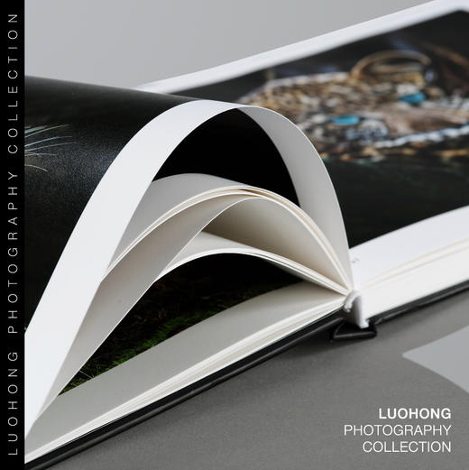 罗红摄影作品-肯尼亚：生命的天堂 商品图2