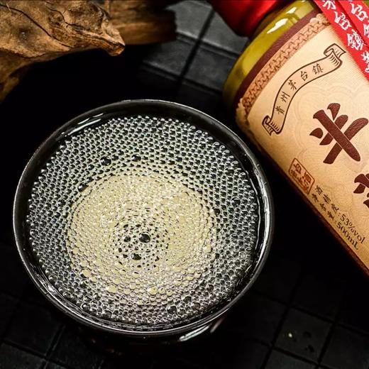 半藏醇20酱香型白酒53度坤沙老酒纯粮酿造贵州茅台镇窖藏 商品图6