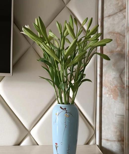 【百年好合】铁炮百合  3头 白色  5枝/扎 商品图8