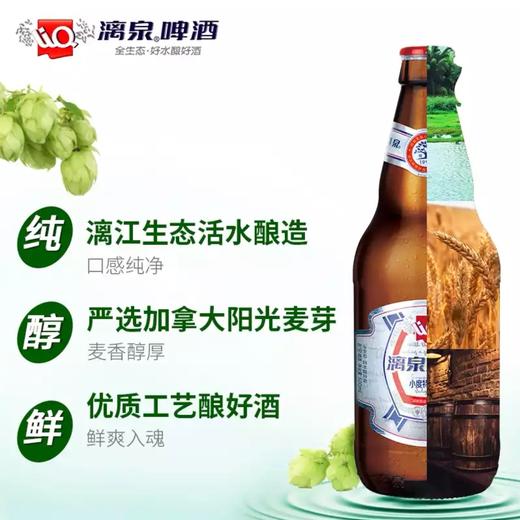 漓泉1998啤酒8度500ml清爽口感夏日畅饮必备 商品图1