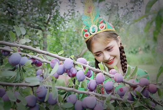 【新疆】西梅4斤 商品图2