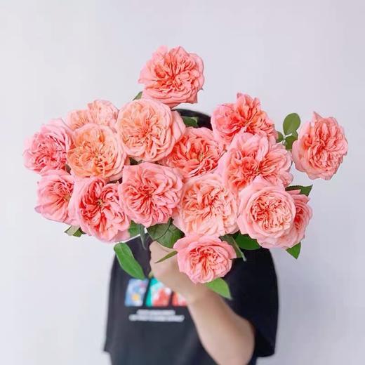 【AB级伦敦眼玫瑰.第二份减10元】10支/份 长约60-65cm 商品图4