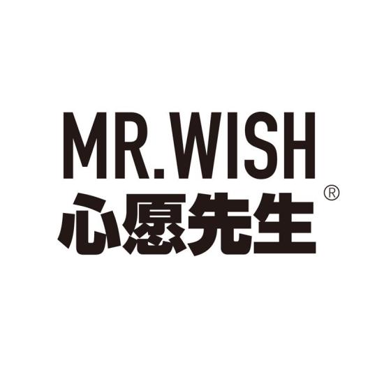 MR.WISH 心愿先生251107260124