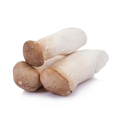 韩家福杏鲍菇송이버섯 商品图0