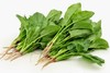 韩家福蔬菜 菠菜시금치 商品缩略图0