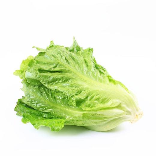 韩家福生菜상추 商品图0