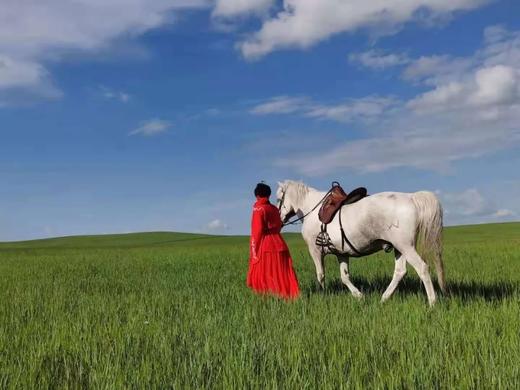 【草原驰骋计划 | 呼伦贝尔 拼团团】B行程：骑士进阶野骑提高营 （七天六晚）8800元起 商品图4