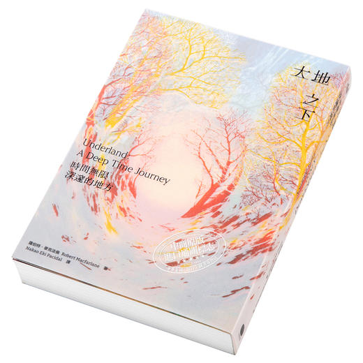 【中商原版】大地之下 时间无限深邃的地方 Underland A Deep Time Journey 港台原版 Robert MacFarlane 大家出版 自然科普 商品图2