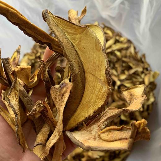 【野生黄牛肝菌干片】 无泥脚无熏硫 菌香浓郁 新货包邮 商品图2