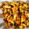 【野生黄牛肝菌干片】 无泥脚无熏硫 菌香浓郁 新货包邮 商品缩略图5