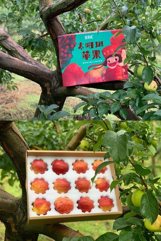 云南太阳斑红玛瑙苹果 家庭装 商品图1