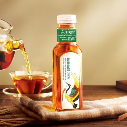 东方树叶青柑普洱茶500ml*15瓶 商品图2
