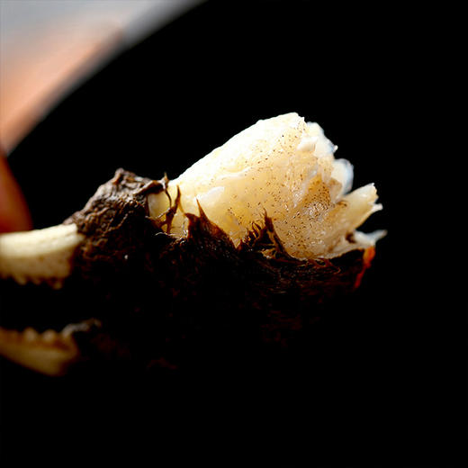 金世尊大闸蟹1088型【LY】 商品图4