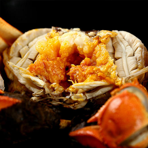 金世尊大闸蟹1088型【LY】 商品图2