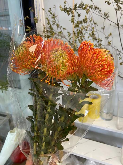 南非-【针垫】 商品图4