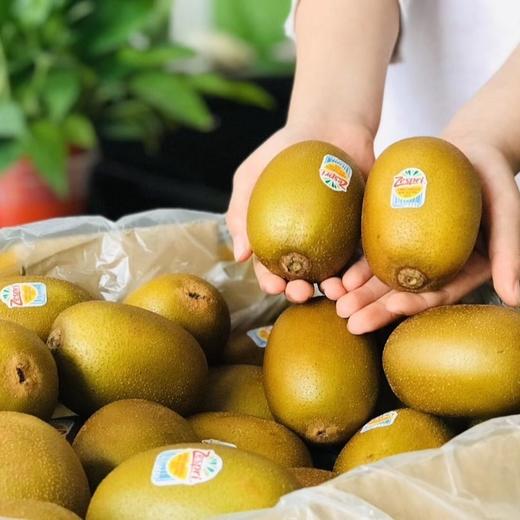 新西兰 佳沛红果&  金果猕猴桃 商品图4