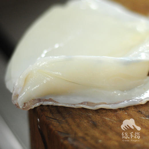 野生东山岛墨鱼 | 合作生产 * Wild- cuttlefish | Coproduction 商品图6