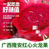 【圳品】广西隆安优质红心火龙果5斤（中大果）新鲜采摘【定点扶贫促销】 商品缩略图2