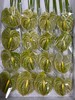 【绿光彩掌】欧丽维斯，芥末绿 商品缩略图5