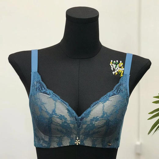 【秒杀品不退不换】皇家丽美大胸专属无钢圈聚拢收副乳文胸WW910-1 商品图1