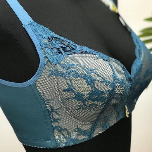 【秒杀品不退不换】皇家丽美大胸专属无钢圈聚拢收副乳文胸WW910-1 商品图2