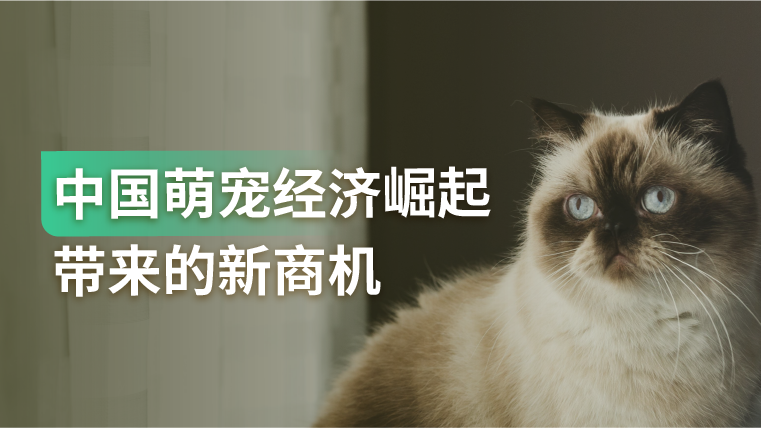 报告｜年轻女性成新时代养宠主力军，品牌需以数字化为核心聚焦线上增长