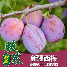 【新疆】西梅4斤