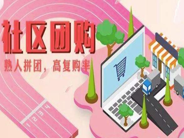 社区团购系统哪家好?怎么选社区团购系统?