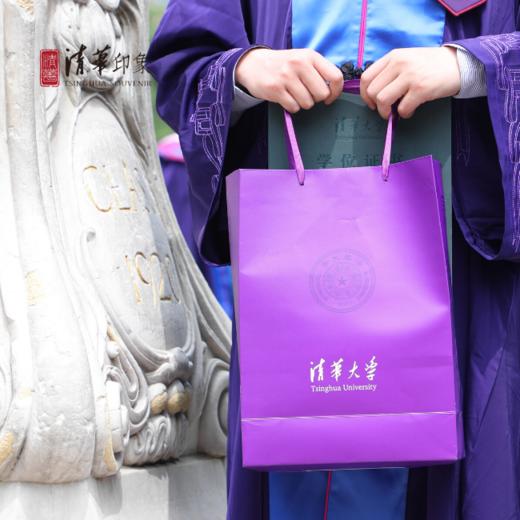 紫色纸袋（中号） 商品图0