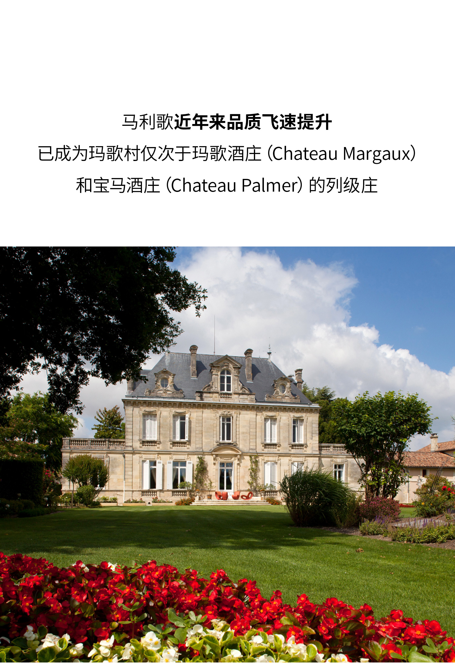 马利歌酒庄副牌干红 la dame de malescot 2016