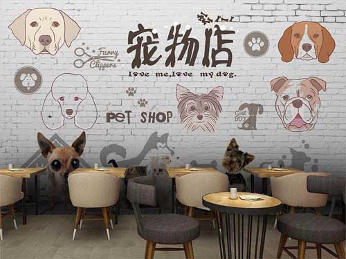 <em>宠物</em>店如何做私域？这可能是讲的最细致的文章了！（上）
