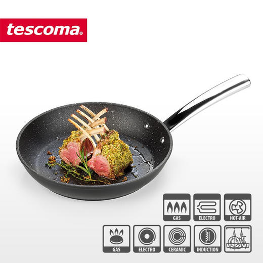 捷克进口/tescoma 不粘锅石面煎锅 煤气电磁炉烤箱通用原石贴面锅 石面煎锅 商品图1