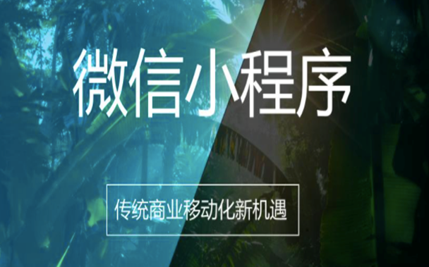 个人运营微信小程序要收费吗？
