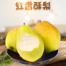 【快递停发，2月26日陆续发货】【陕西 红香酥梨 】甜润酥脆香梨 整箱包邮