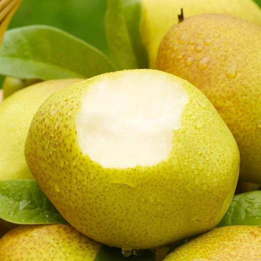 【快递停发，2月26日陆续发货】【陕西 红香酥梨 】甜润酥脆香梨 整箱包邮 商品图3