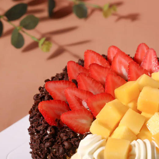 同甘共苦 商品图3