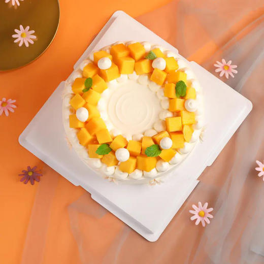 秋乐---进口安佳动物奶油 商品图2