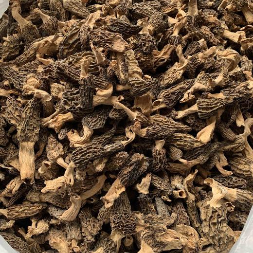 【云南野生羊肚菌】纯野生不掺假 
野生羊肚菌肉厚菌香 新货 包邮 商品图3