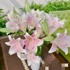 【百年好合】铁炮百合 粉色  3头 5支/扎 商品缩略图4