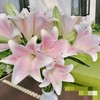【百年好合】铁炮百合 粉色  3头 5支/扎 商品缩略图3
