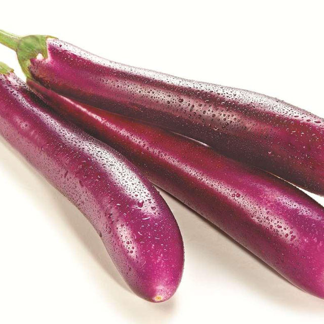 203精选茄子 500克至600克