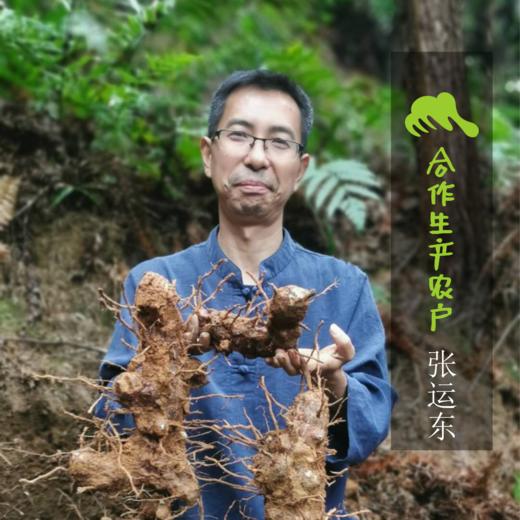 野生麦冬 | 合作生产 * Wild Ophiopogon Japonicus  | Coproduction 商品图1