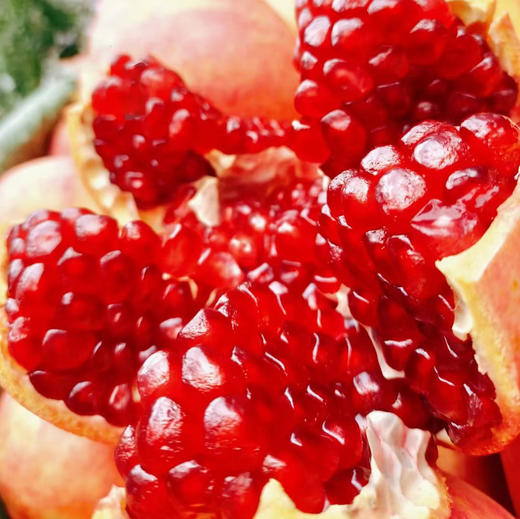 十八寨盐水软籽石榴个6个装/9个装 商品图3