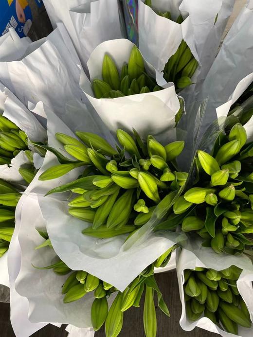 【百年好合】铁炮百合  3头 白色  5枝/扎 商品图9