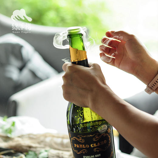 生物动力葡萄酒（有机）| 公平贸易*Biodynamic-wine（organic）| Fair-trade 商品图2